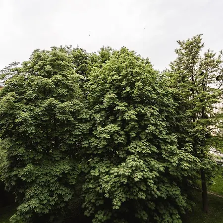 Flexihome Sk - Tolsteho - Free Parking On The Street - 2 Bedrooms *